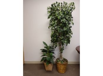 One Medium And One Tall Faux Plants - Great For An Office!)