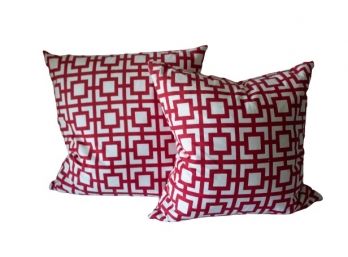 Feather Decorative Pillows(2)