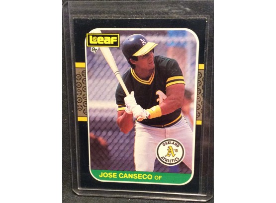 1987 Leaf Jose Canseco Rookie - Y