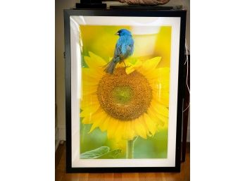 Paul S. Sutherland For National Geographic Print, Matted And Framed By Great Big - Ukranian Colors
