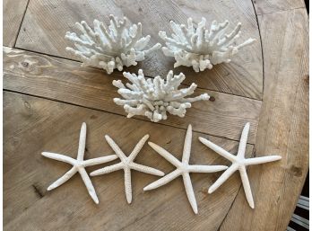 Pottery Barn Coral And Star Fish