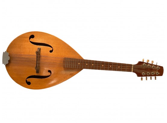 1958 Mandolin With Label Inside D'Agosinto? Bridgeport Connecticut 26' Long.