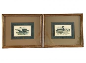 Pair Of Framed Ducks Prints.  #17