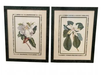 Rand. Hort. Chelf Magnolia Prints In Lovely Green Marbled Frame