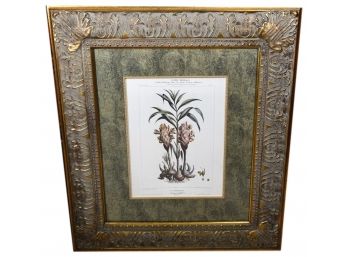 Beautifully Framed Botanical Print By Denisse Titled Le Gingembre