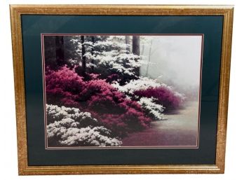 Framed Print Of The Forrest With Pink Bushes