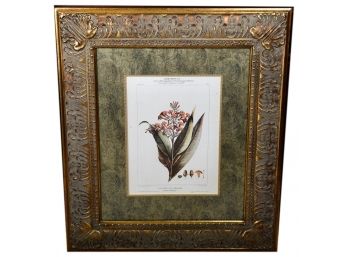 Beautifully Framed Botanical Print By Denisse Titled Le Tabac De Virginie