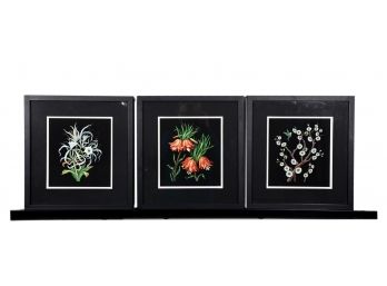 Set Of Three Floral Wall Art Photographs In J. Pocker Frames