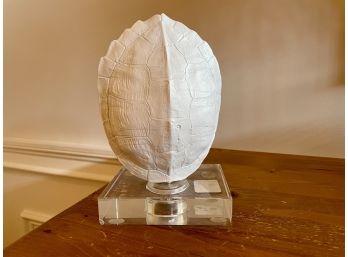 White Washed Turtle Shell Form On Crystal Base