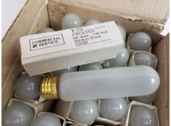 T-10 Frosted Light Bulbs New