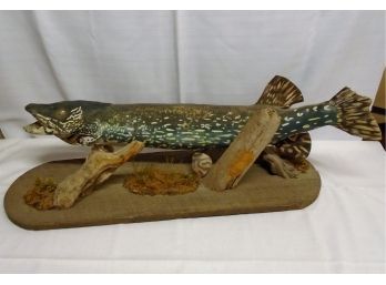 Old Taxidermy Pike