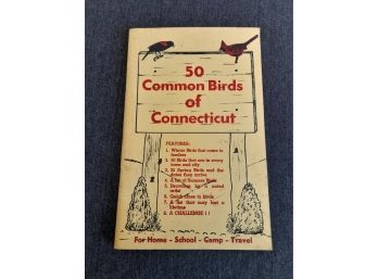 50 Common Birds Of Connecticut