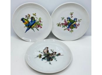 3 Mottahedeh At Bergdorf Goodman Bird Aviary Plates, Numbered