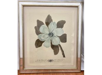 Original Botanical Illustration Plate With Dedication, Framed By Trowbridge