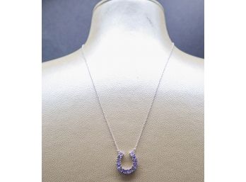 14k White Gold Chain With Horse Shoe Pendant