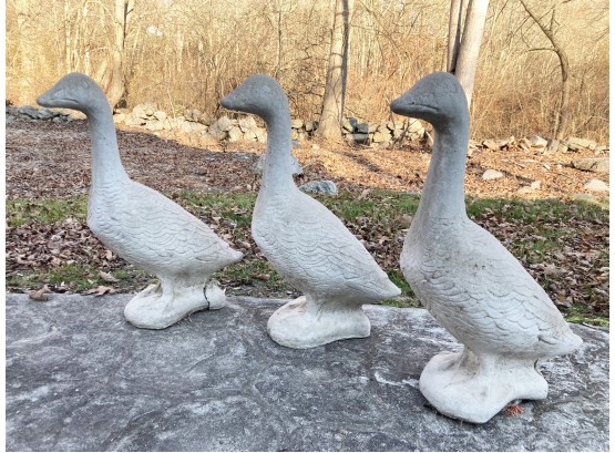 A Trio Of Cast Stone Ducks - Life Size!