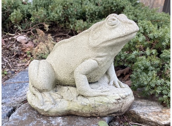 A Garden Frog