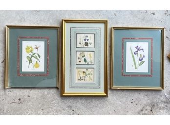 A Trio Of Framed Antique Botanical Prints