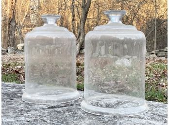 Vintage Glass Bell Jars - With Removable Handles (for Air Flow)