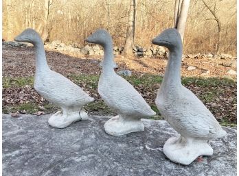 A Trio Of Cast Stone Ducks - Life Size!