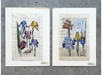 A Pairing Of Hand Colored 17th Century Engravings