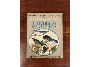 Birds Of America XL Book