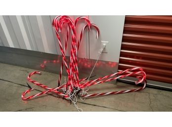 One Dozen Candy Canes - Approx 24'h