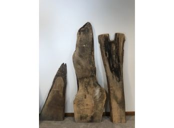 Group Of Live Edge Milled Wood - Various Species / Sizes - 8 Slabs Total