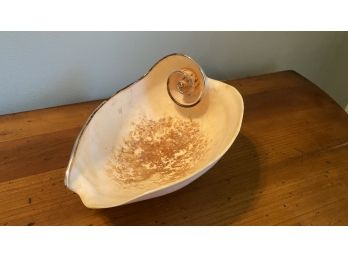 A Beautiful Conch Shell Bowl  With Gold Trim Details.- 7'long X 6'd X 4'h
