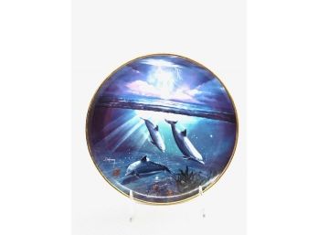Franklin Mint Storm Of The Dolphin