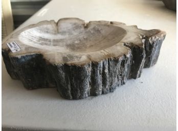 4LB 2oz, Petrified Wood Bowl , 8 Inches L By 6 Inches W By 2 Inches H