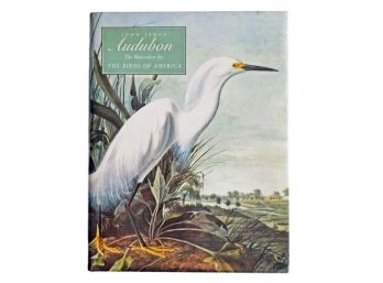John James Audubon The Watercolors For THE BIRDS OF AMERICA 10.25' X 13.25'