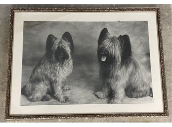 Framed Print Of Two Dogs