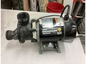 Like New ITT Model SD7 3/4hp Spa Pump Heavy Duty Spa Pump Motor See Pictures Like New Take Out