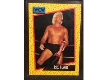 1991 WCW Ric Flair Card