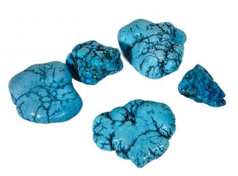 Lot Of Five Genuine Turquoise Stones