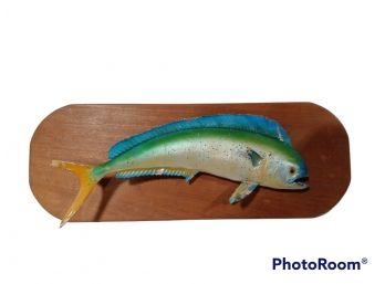 VINTAGE TAXIDERMIED MAHI MAHI FISH ON  WOODEN PLAQUE WALL HANGING 31'X11.5'