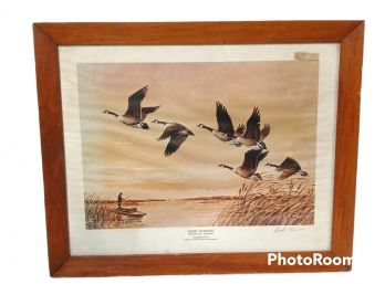 RISING HONKERS, CANADIAN GEESE SIGNED PRINT 22.5'X18.5'