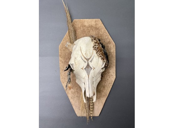 Old Buffalo Skull- Provenance Unknown Wr