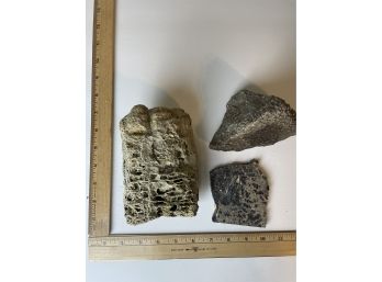 Lot Of 3 Fossils- Oolites, Snails And Sponge Wr