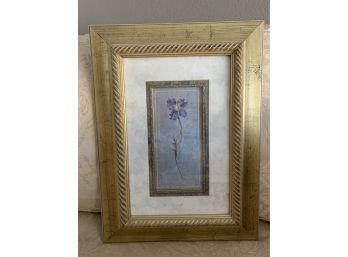 Framed Print Of A Lovely Blue Flower LR