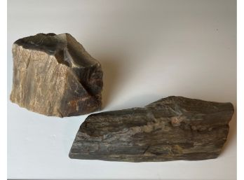 Petrified Wood - Lot Of 2 Wr