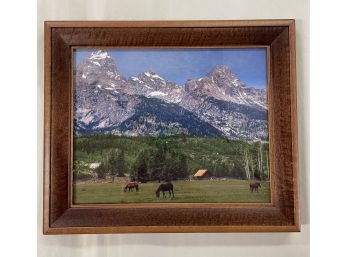Framed Photograph With Snowy Mountains And Horses Bdr