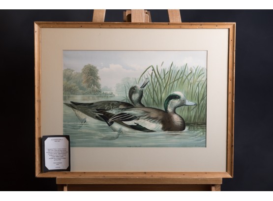 Alexander Pope Jr. Stone Lithograph Water Fowl 1