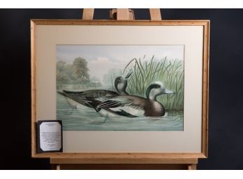 Alexander Pope Jr. Stone Lithograph Water Fowl 1