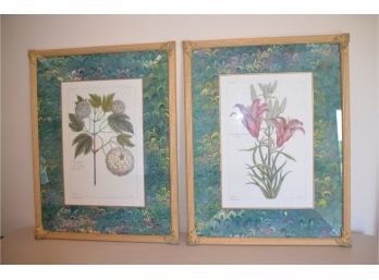 (#145) Pair Of Classic Gallery 'Fessaro Flower' Prints 18x24