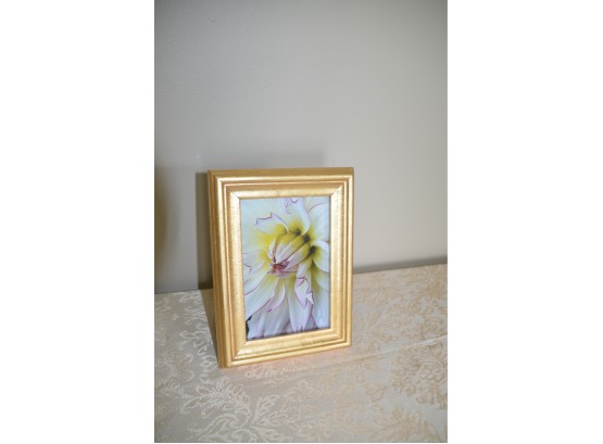 (#11) Gold Framed Photograph Flower Picture 4x6