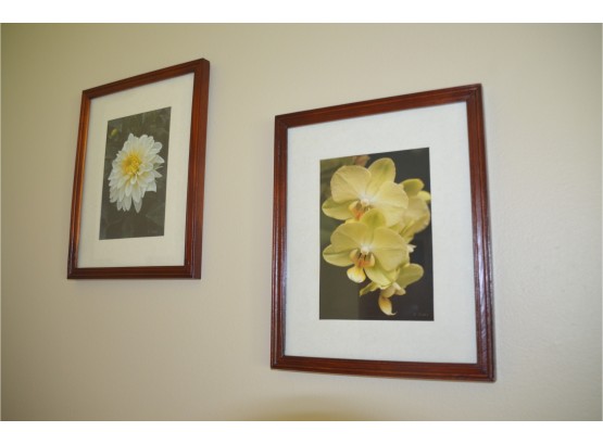 (#10) Framed 2 Photograph Pictures Of  Yellow Flowers