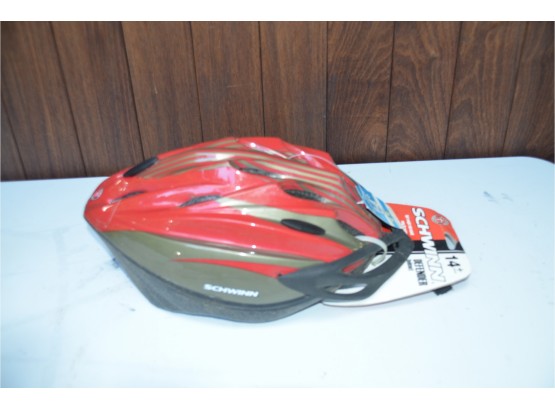 (#100) New Schwinn 14T Adult Helmet