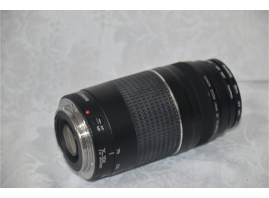 (#55) Canon Zoom Lens EF 75-300mm